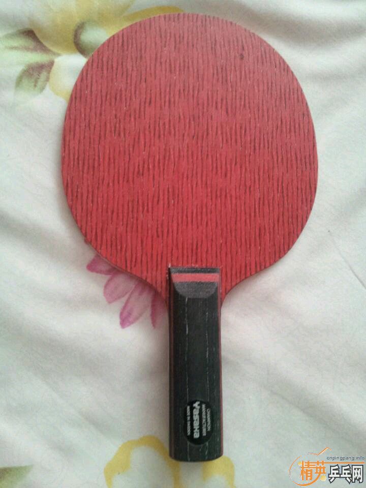 yasaka��̼stһֻ��Ԥ�ۣ�15�Ժ󷢻�