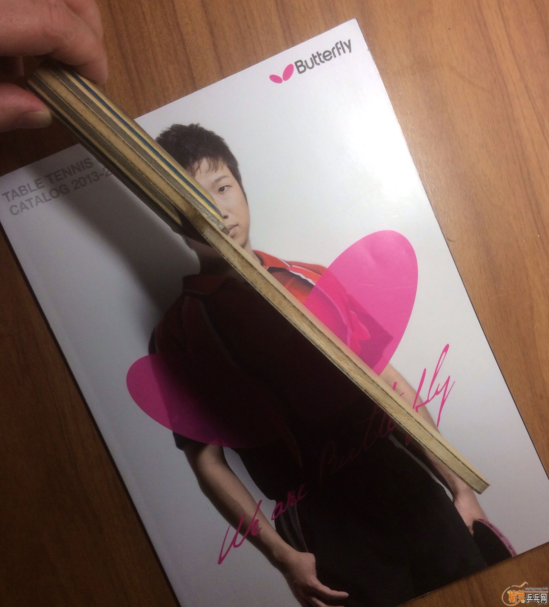 ��������zlc vis-fl