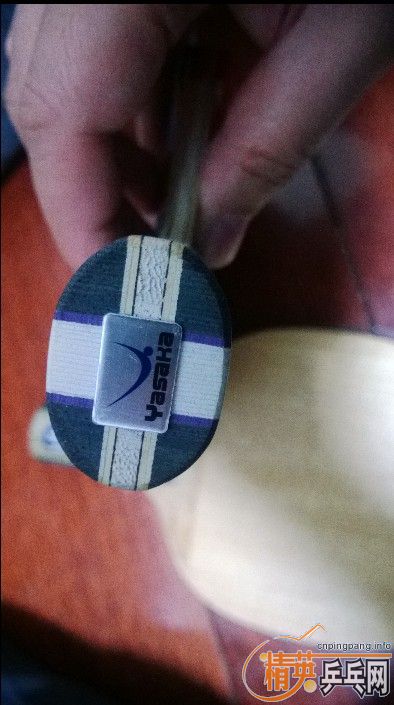 �����ձ�����9.5����YASAKA-Stend-xld