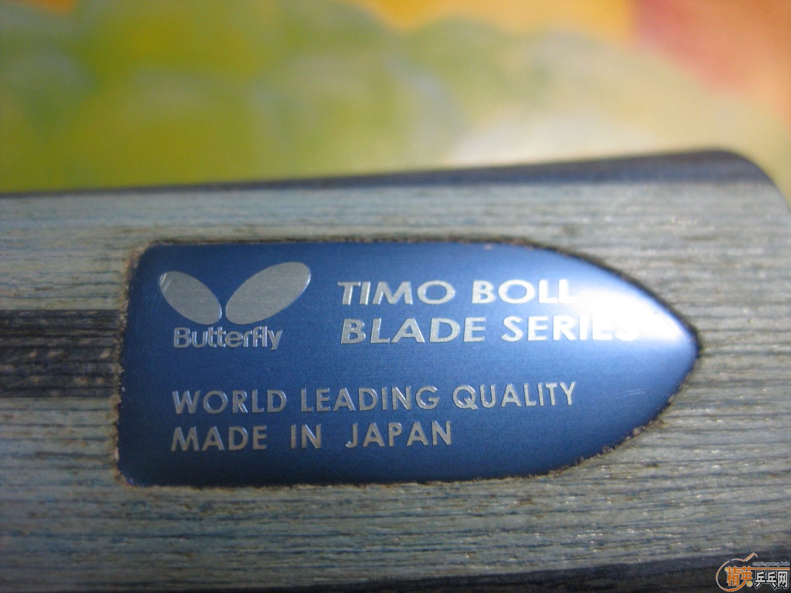 [�Ƽ�]������ֻƯ����boll-ALC