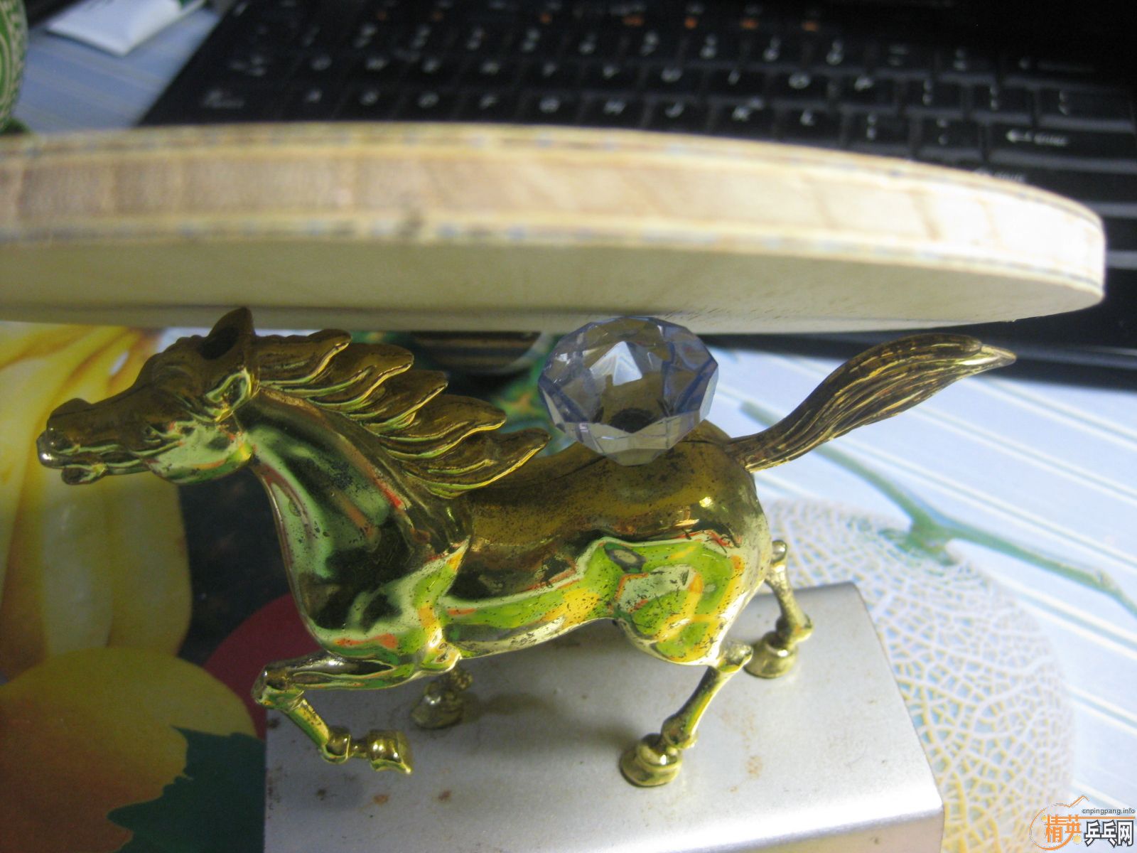 [�Ƽ�]  ������ֻ  Ư���ĺ�����