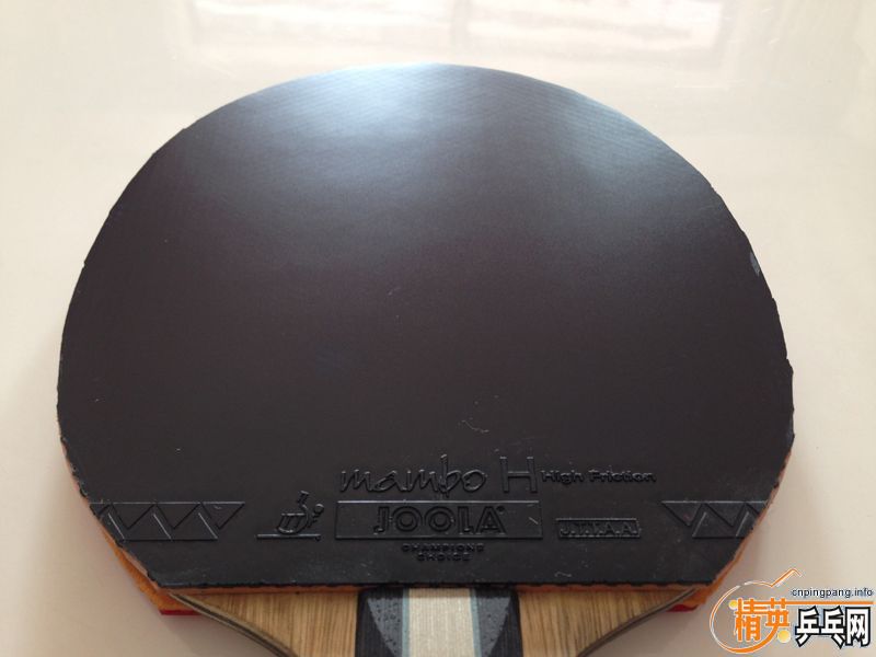 [�����꣬���ģ��ͼ���֣����������ˣ�] nittaku ������ FL��T05�ڣ��ɼ�Ǯ��ָ����������yasaka mark v M2��adidas tenzone��mambo h��hexer pips�������� �����ͼۣ� �����ͼۣ� �����ͼۣ� �����ͼۣ�