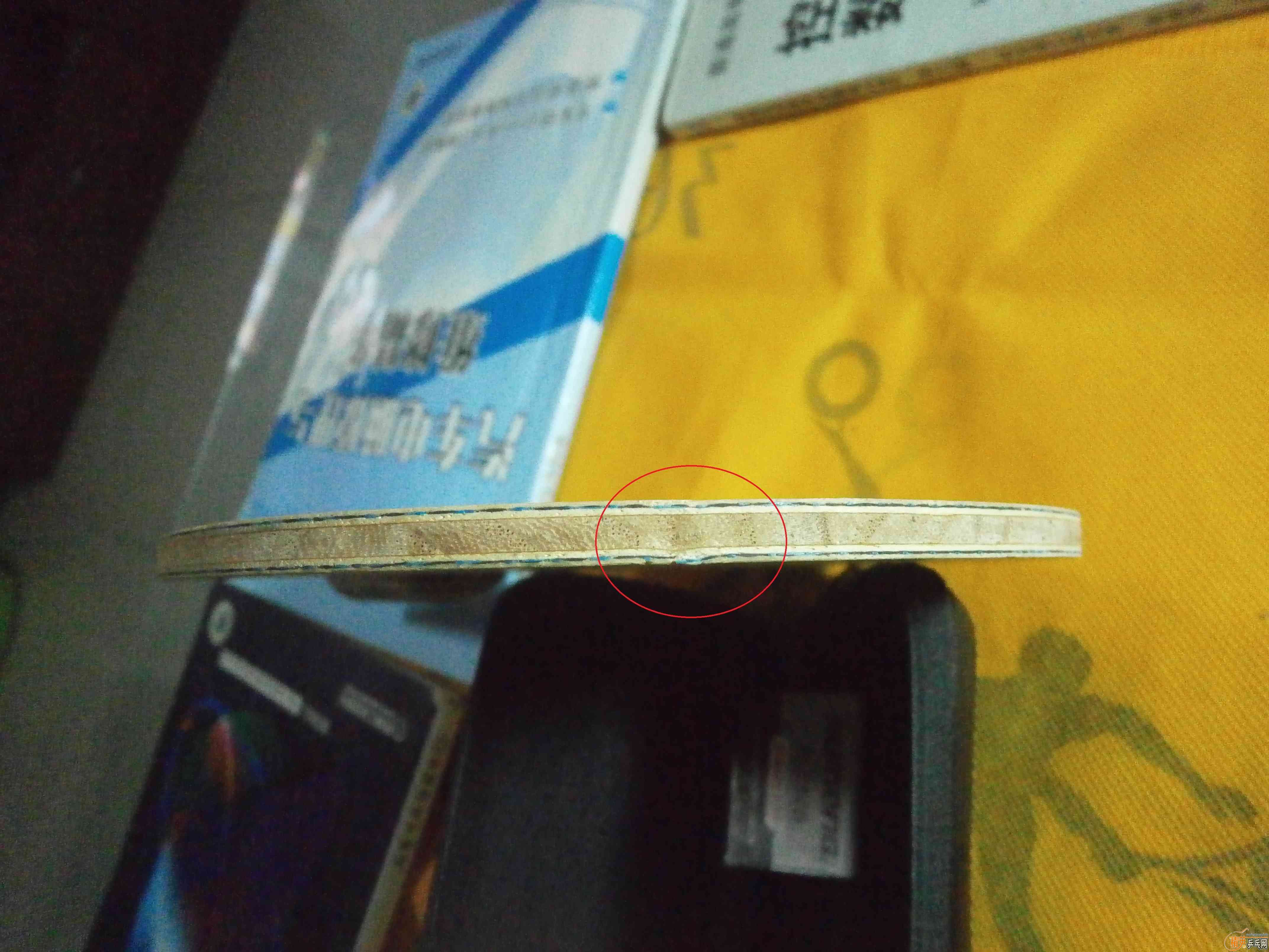 ���˳�����������������