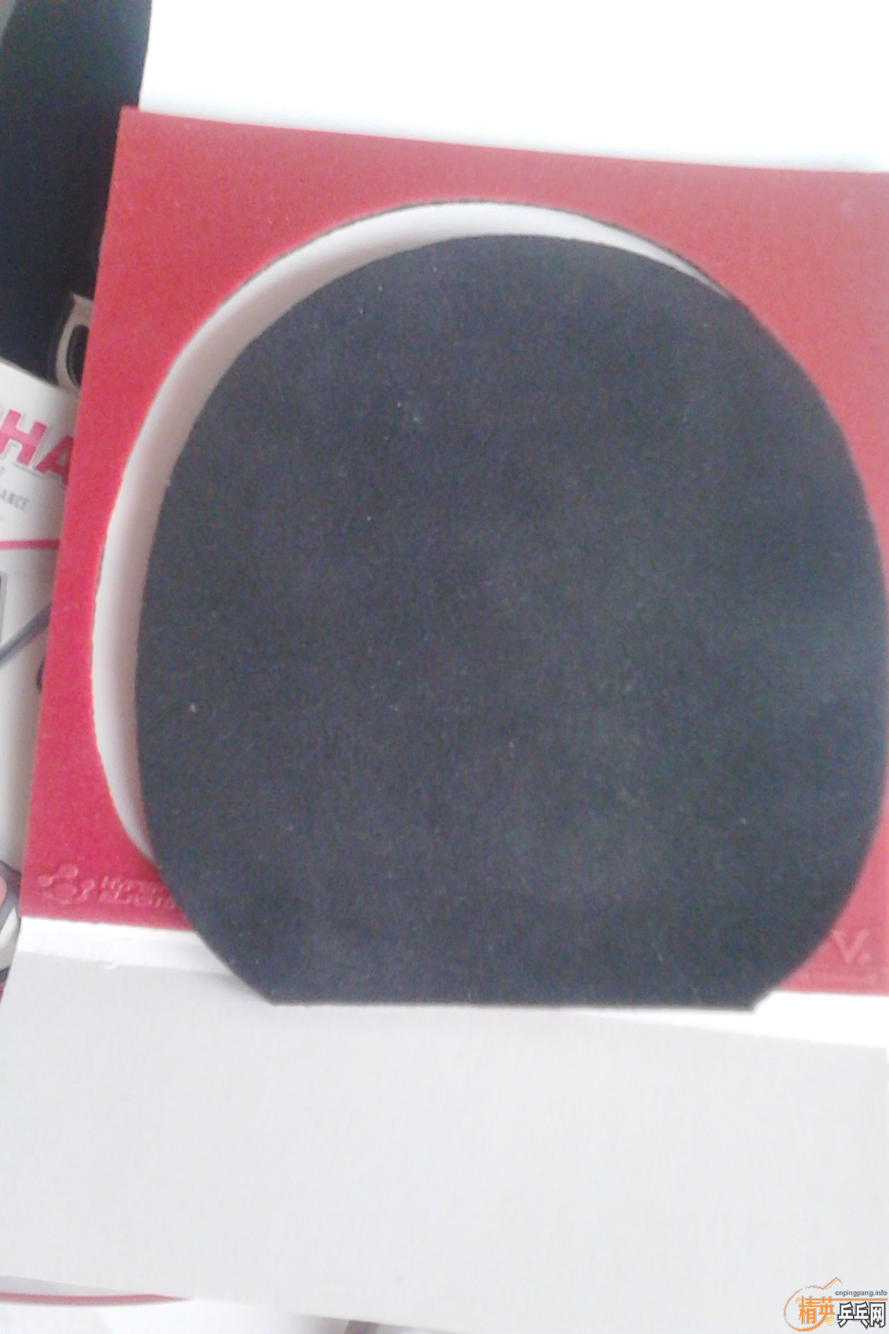 ���׽������װ�