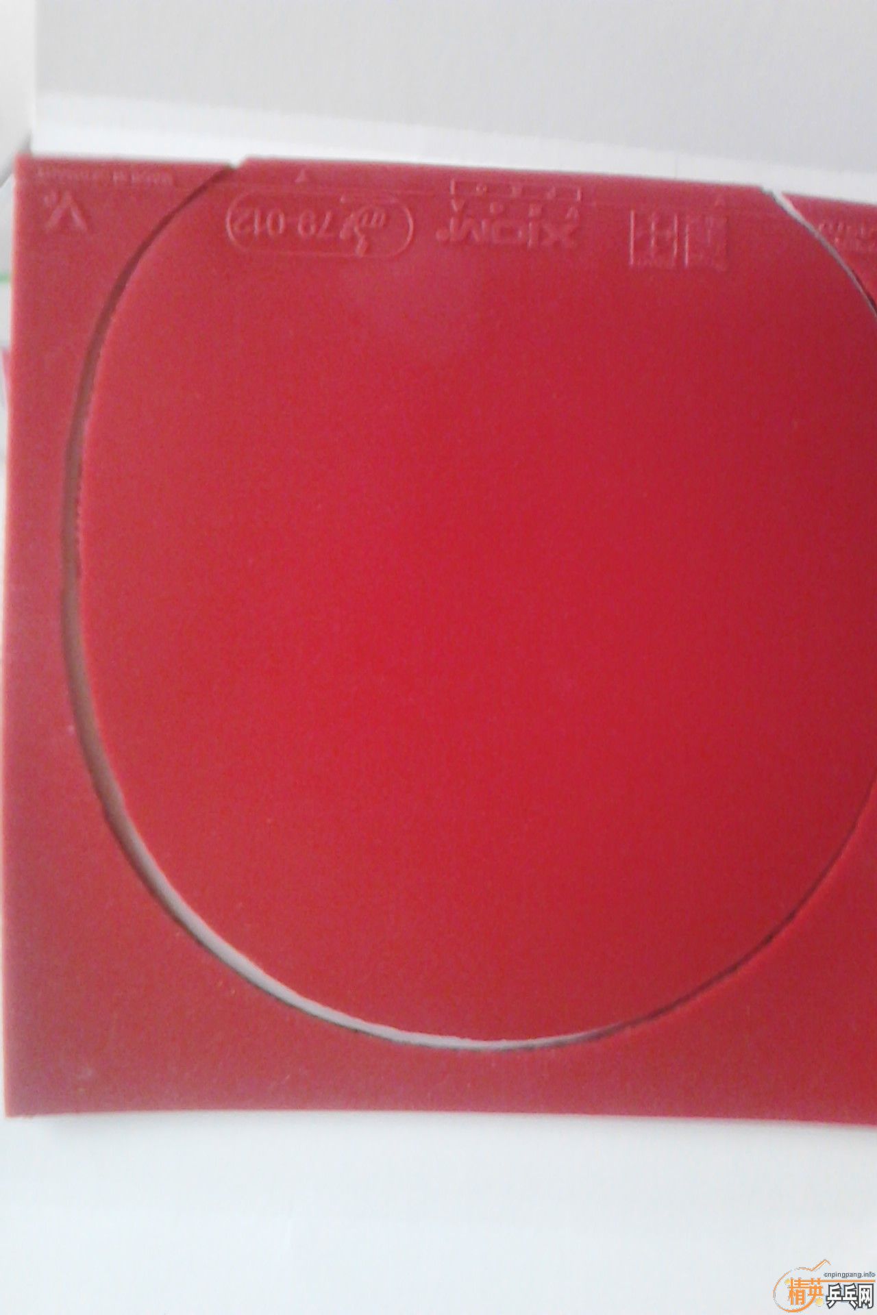 ���׽������װ�