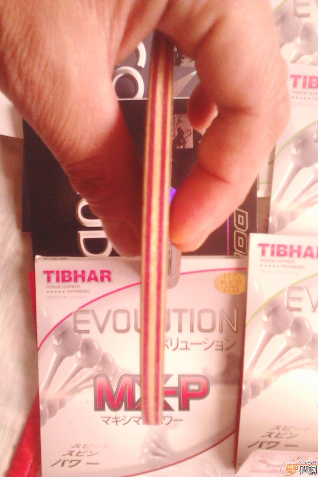 ���׽������װ�