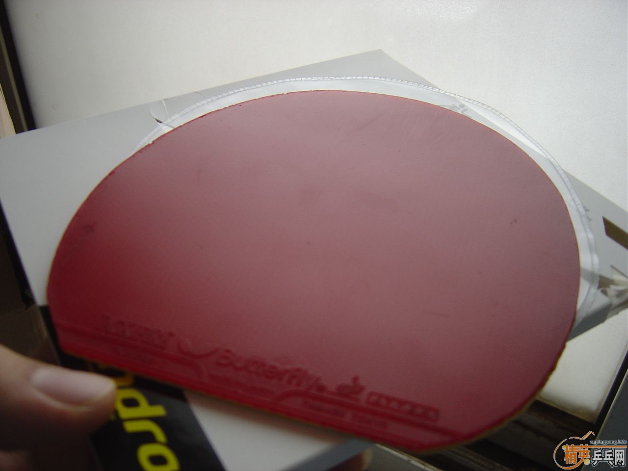 ��ɫT05+��ɫTACKIFIRE-C���400Ԫ���ʣ����µ������ڸ�һ�飬���135����