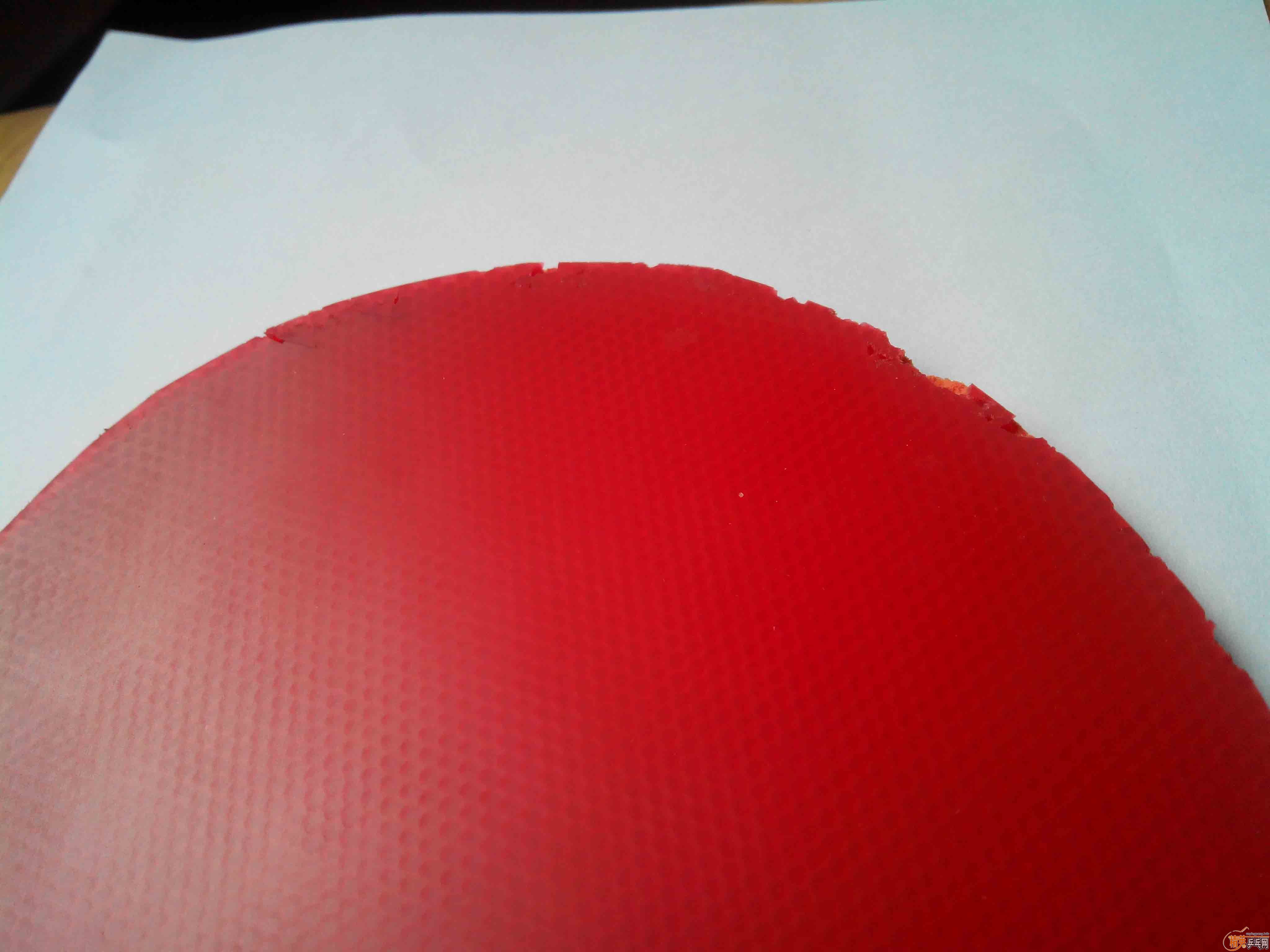 [һҶ��Ʒ �������һ������Ƥ��Ѫ��T64��T05�Ϳ�壬�۸�ʵ��