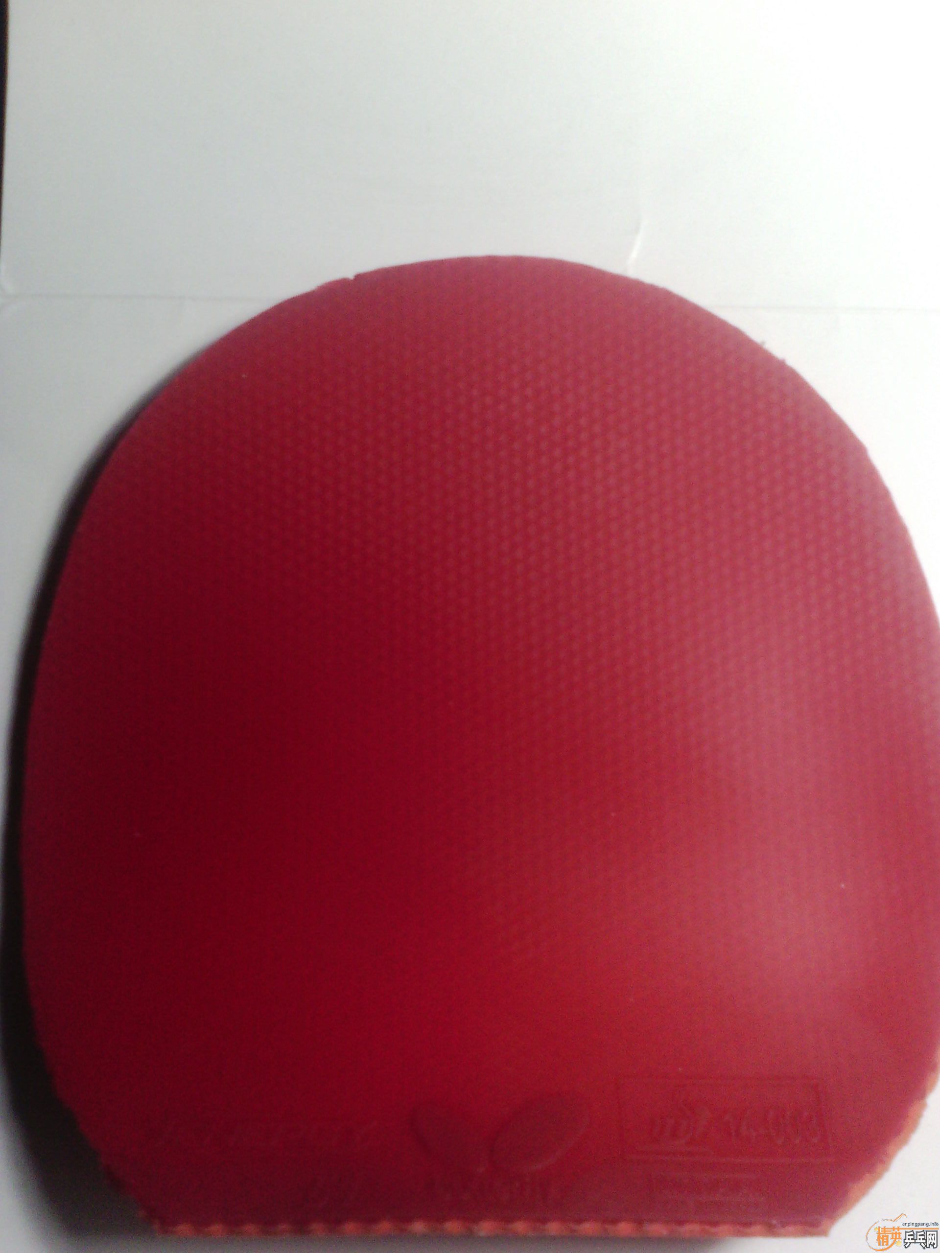 9��˹�ٿ���ˮ������FL����ɫT64