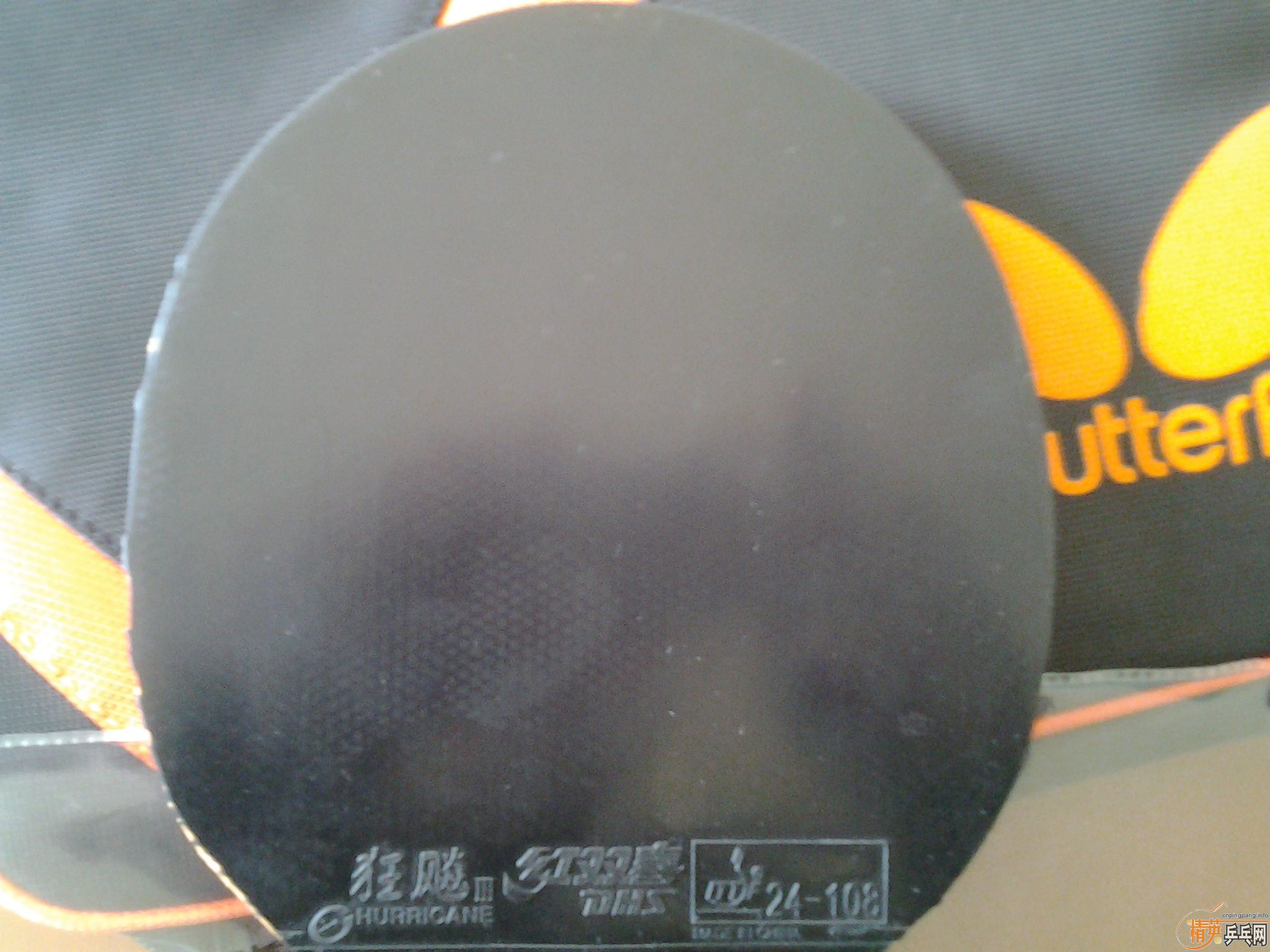 ����ã��������л�õ��5��39�����2.1ʡ�ס���V����������