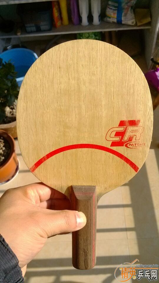 �����л�˹�ٿ�clcr������̼����ɭ�֣�������