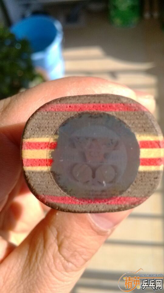 �����л�˹�ٿ�clcr������̼����ɭ�֣�������