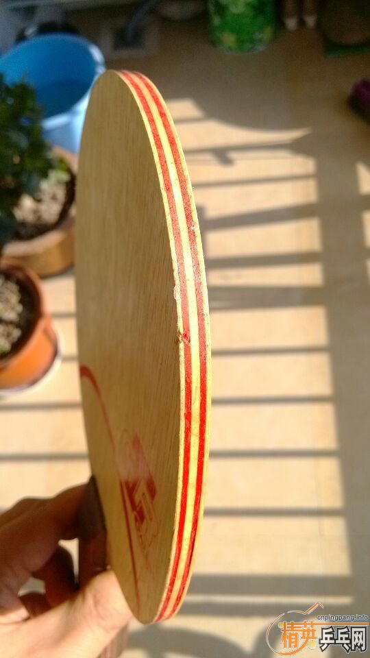 �����л�˹�ٿ�clcr������̼����ɭ�֣�������