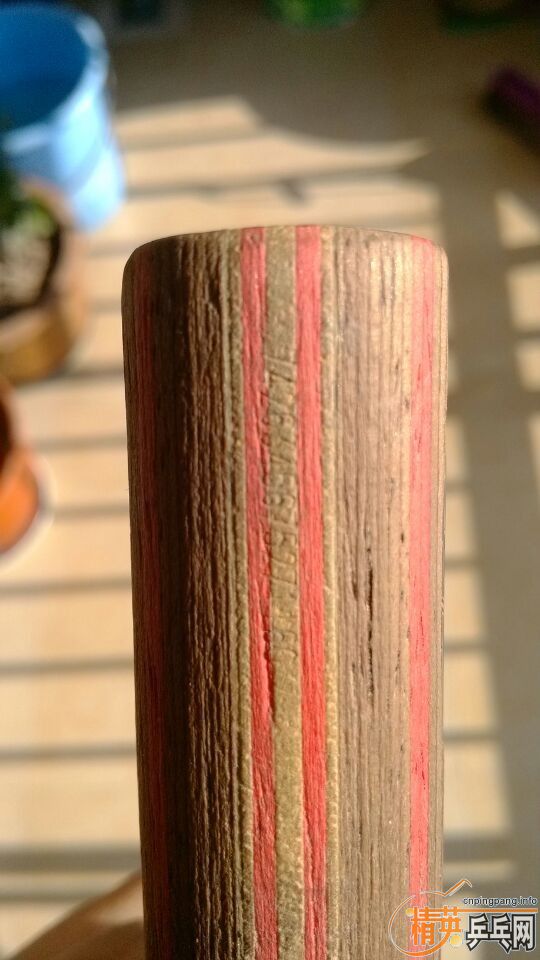 �����л�˹�ٿ�clcr������̼����ɭ�֣�������