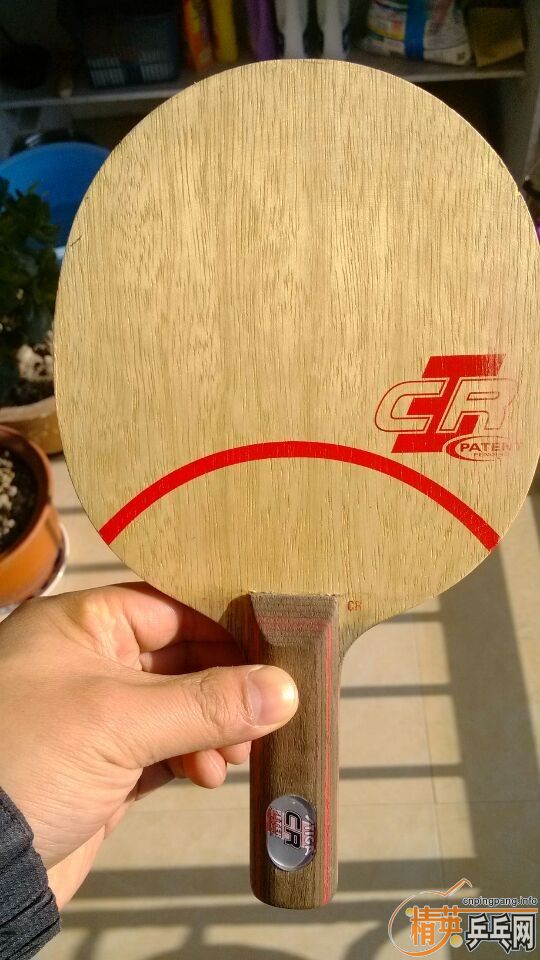 �����л�˹�ٿ�clcr������̼����ɭ�֣�������