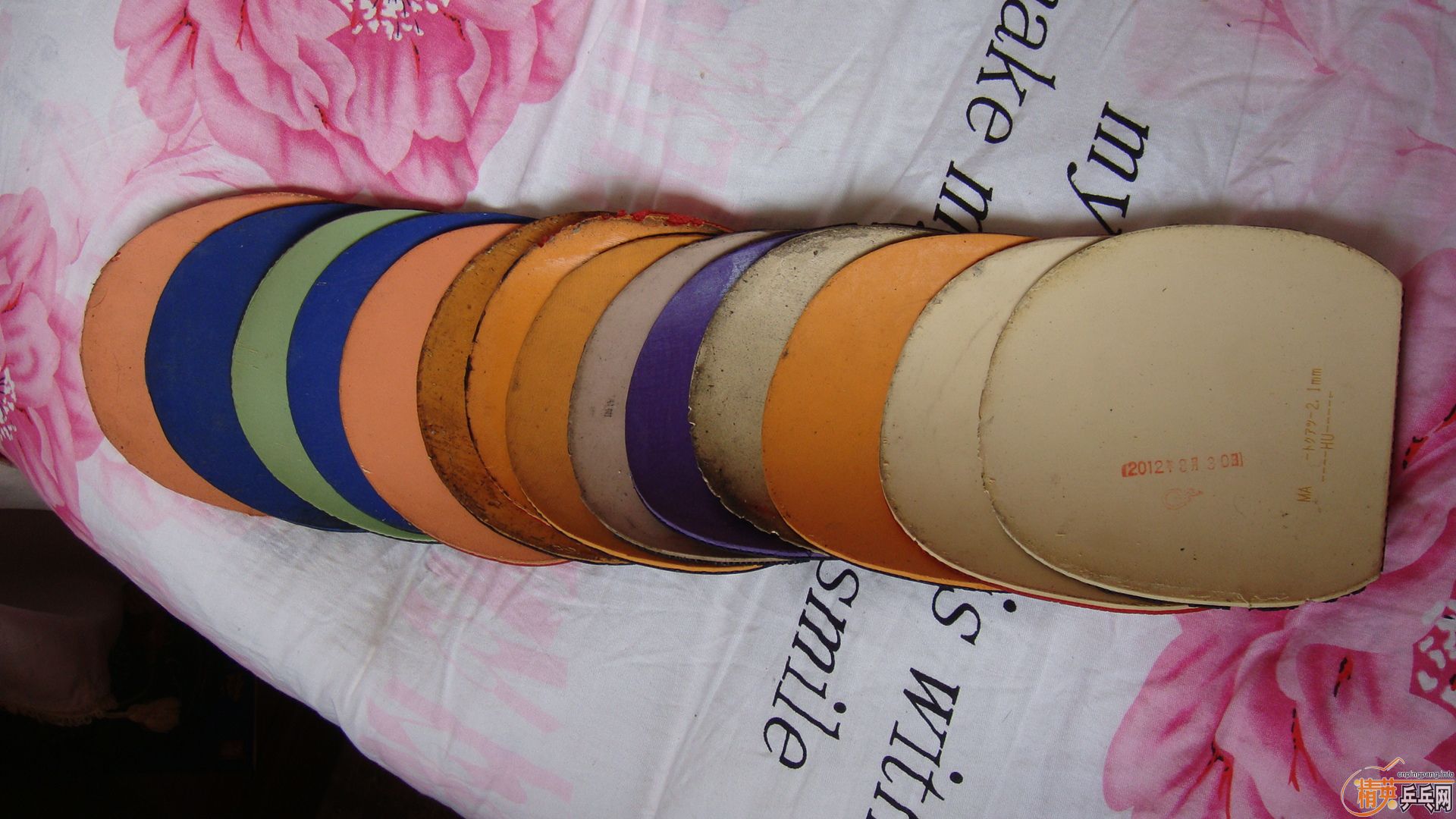 һ���׽�  ���� ���260