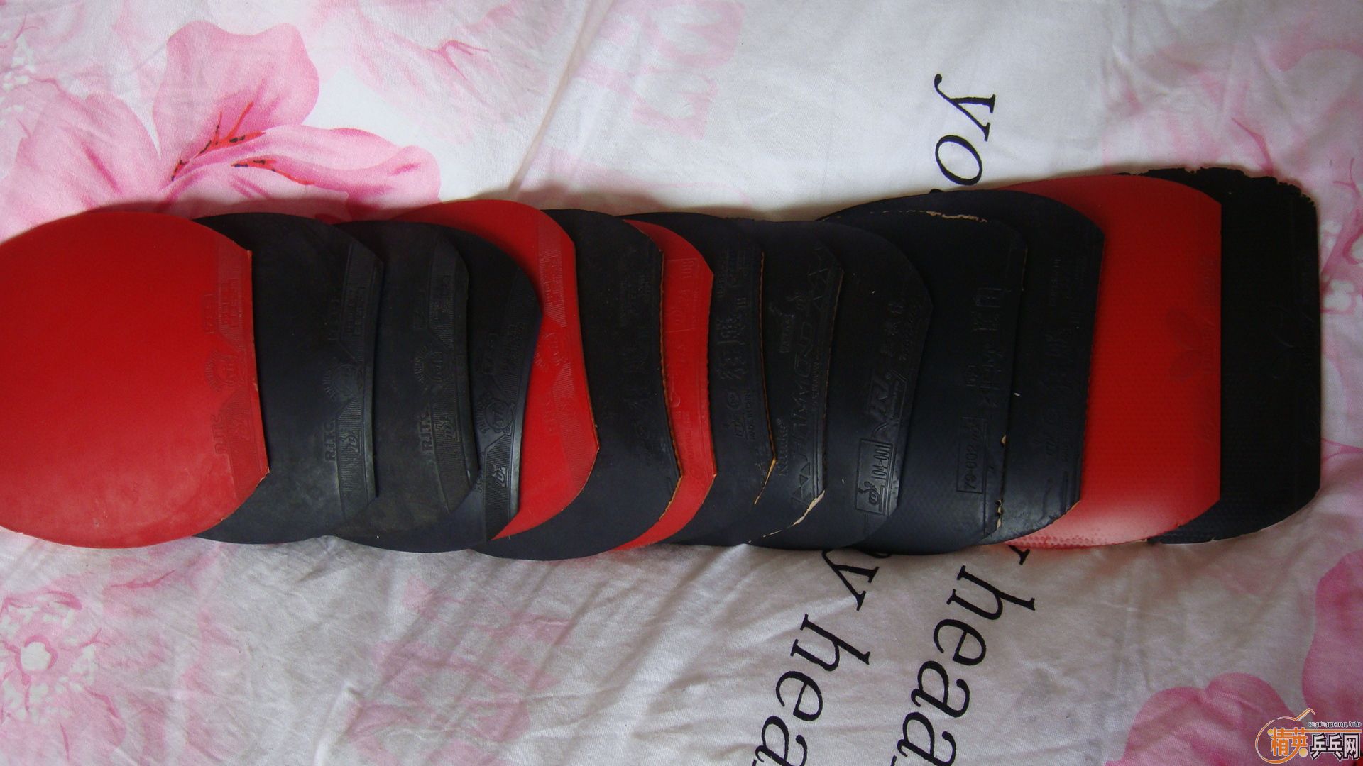 һ���׽�  ���� ���260