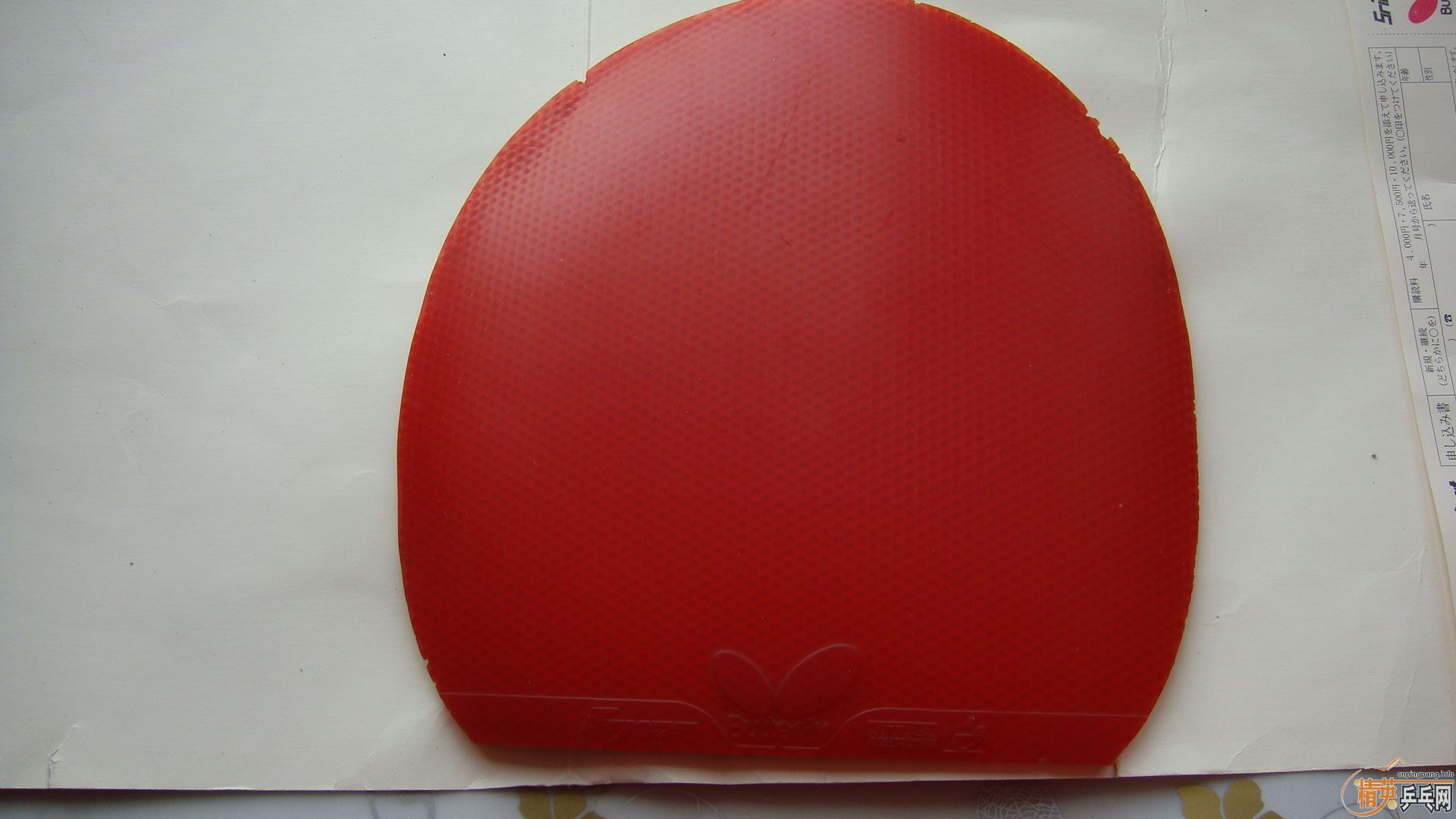 һ���׽�  ���� ���260