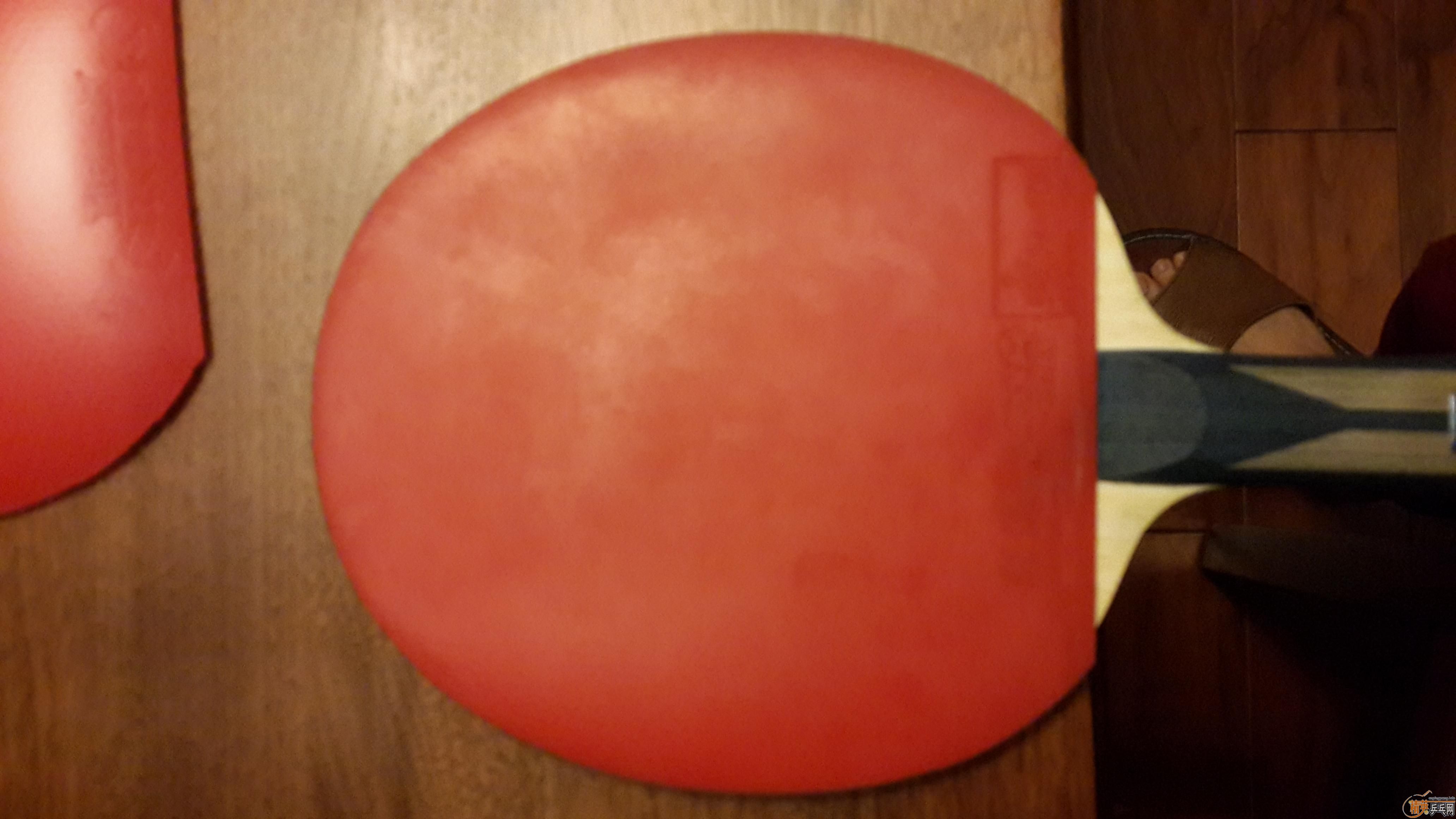 ZLC ��¥   ���������� ����һ��