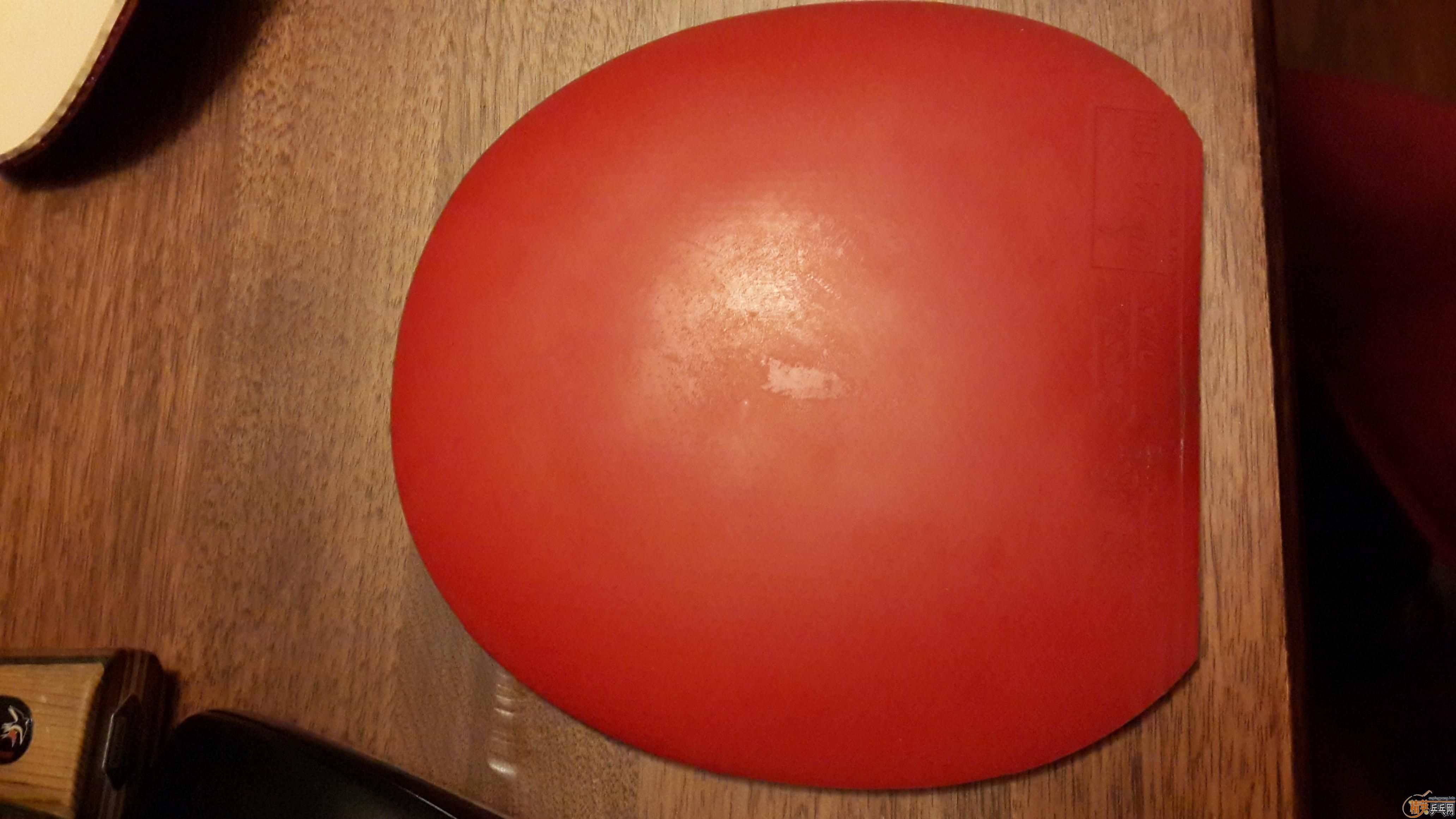 ZLC ��¥   ���������� ����һ��