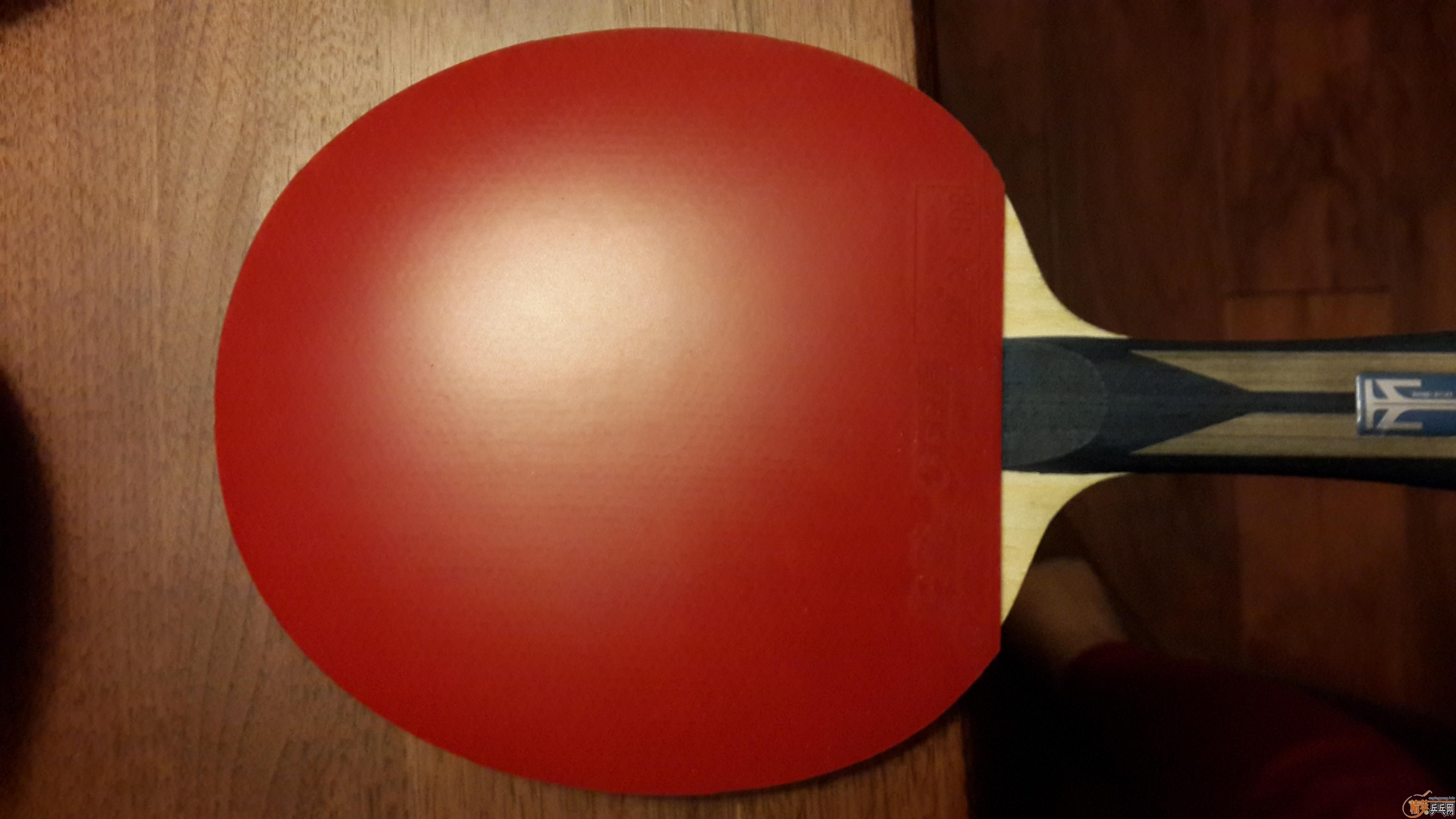 ZLC ��¥   ���������� ����һ��