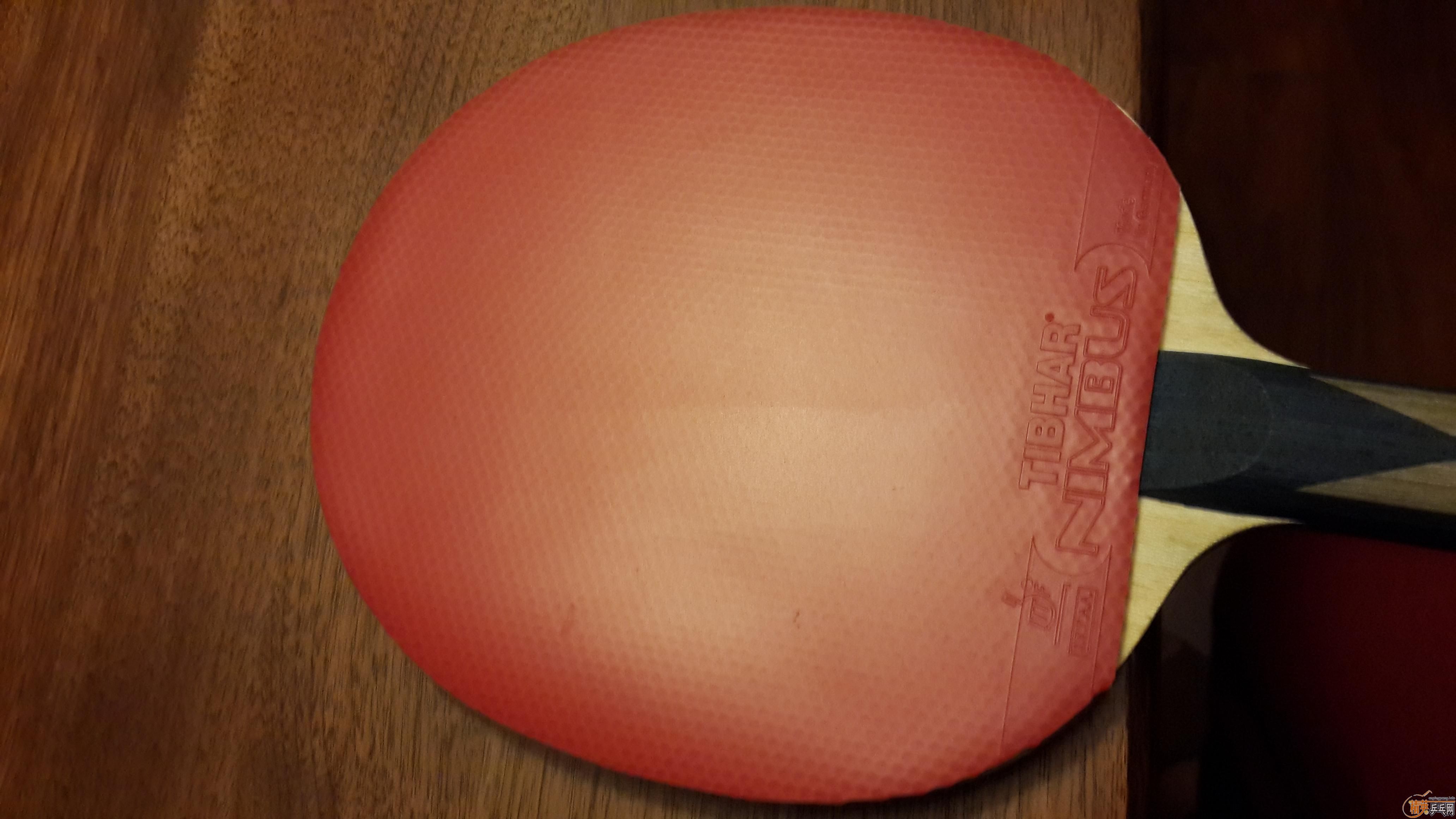 ZLC ��¥   ���������� ����һ��