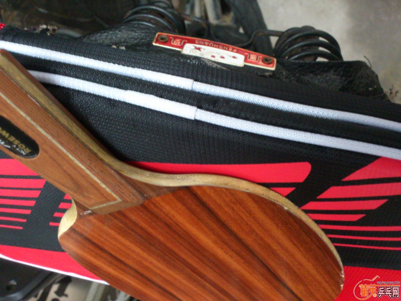 �ձ���  õ��5