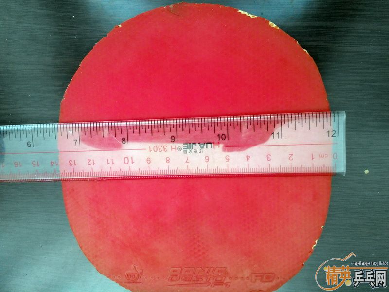 �����Ž�Ƥ