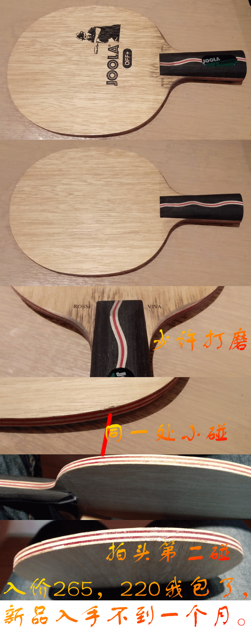 JOOLA���� ROSSI VIVA���̽��߰�7�� �л�220��