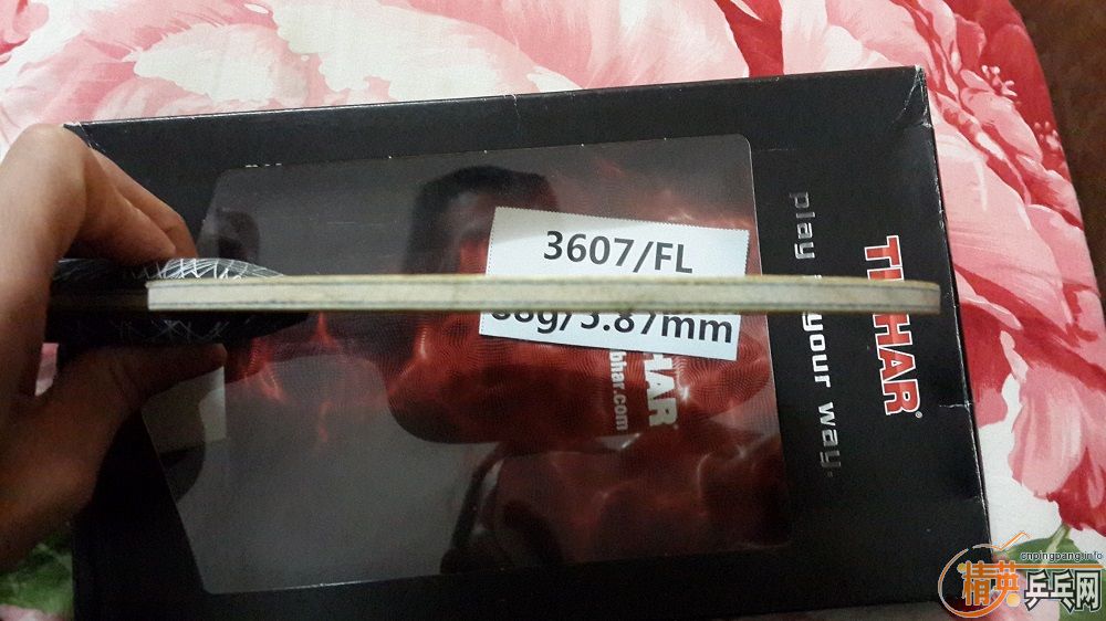 ��  99����̼һ��