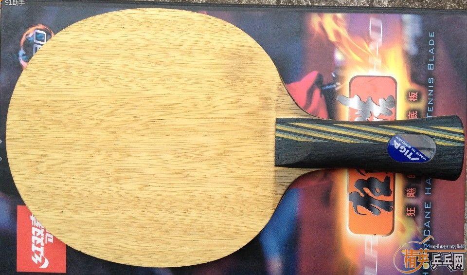 �Ʊ�eg����ʵoc���Ʊ�cl