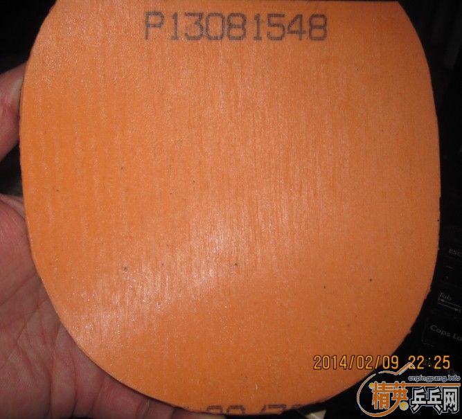 ��95��רҵ����YEO