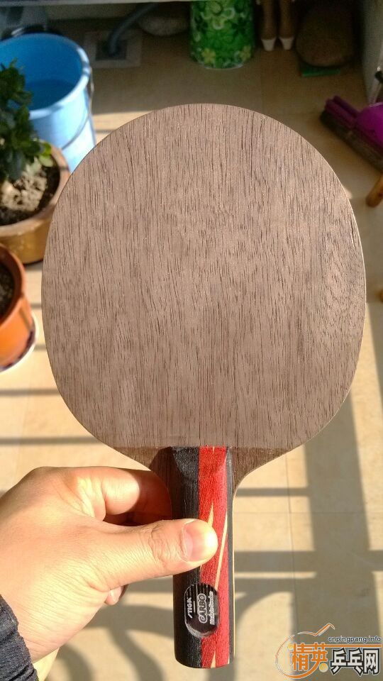 ����˹�ٿ��л�clcr��˹�ٿ�ŷ��̼�ع�����������oc����̼����ɭ�֣�������