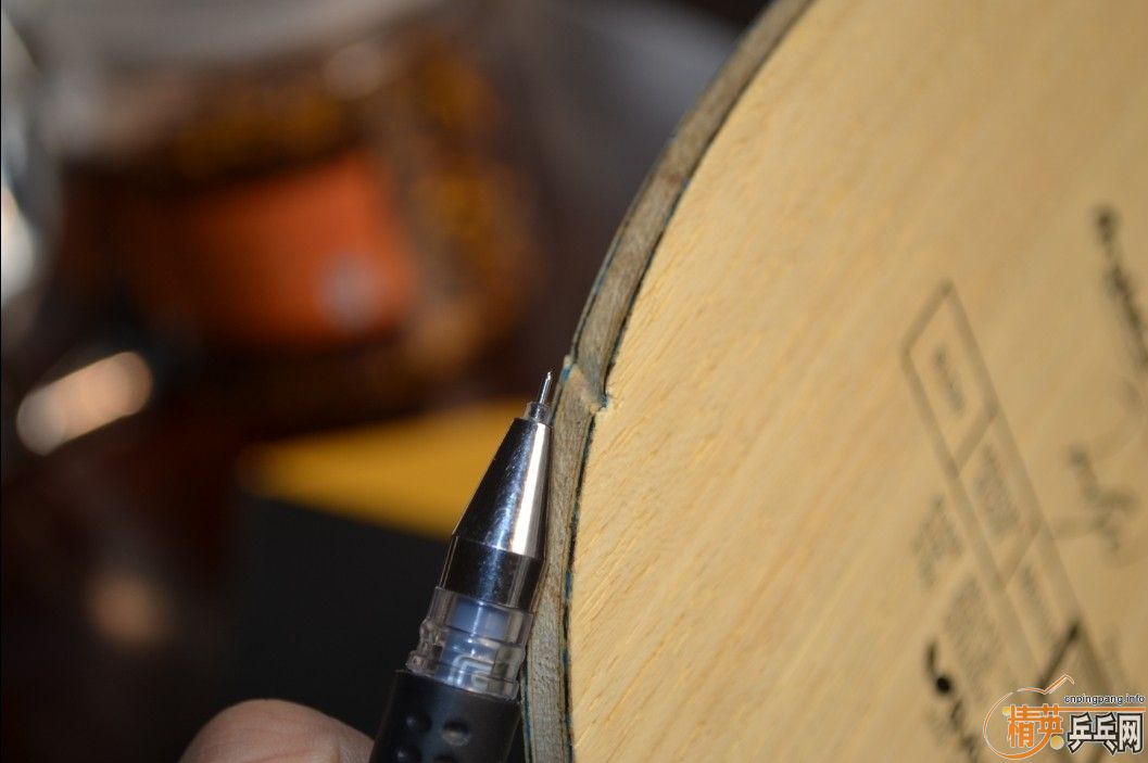 ��ָ��������̳������~