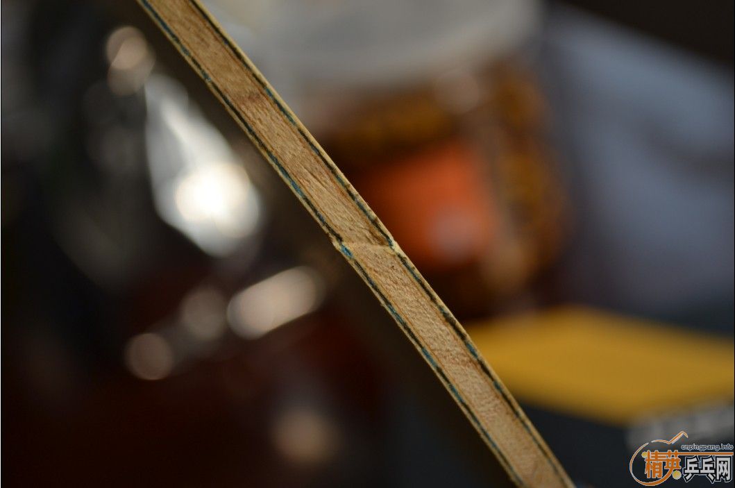 ��ָ��������̳������~