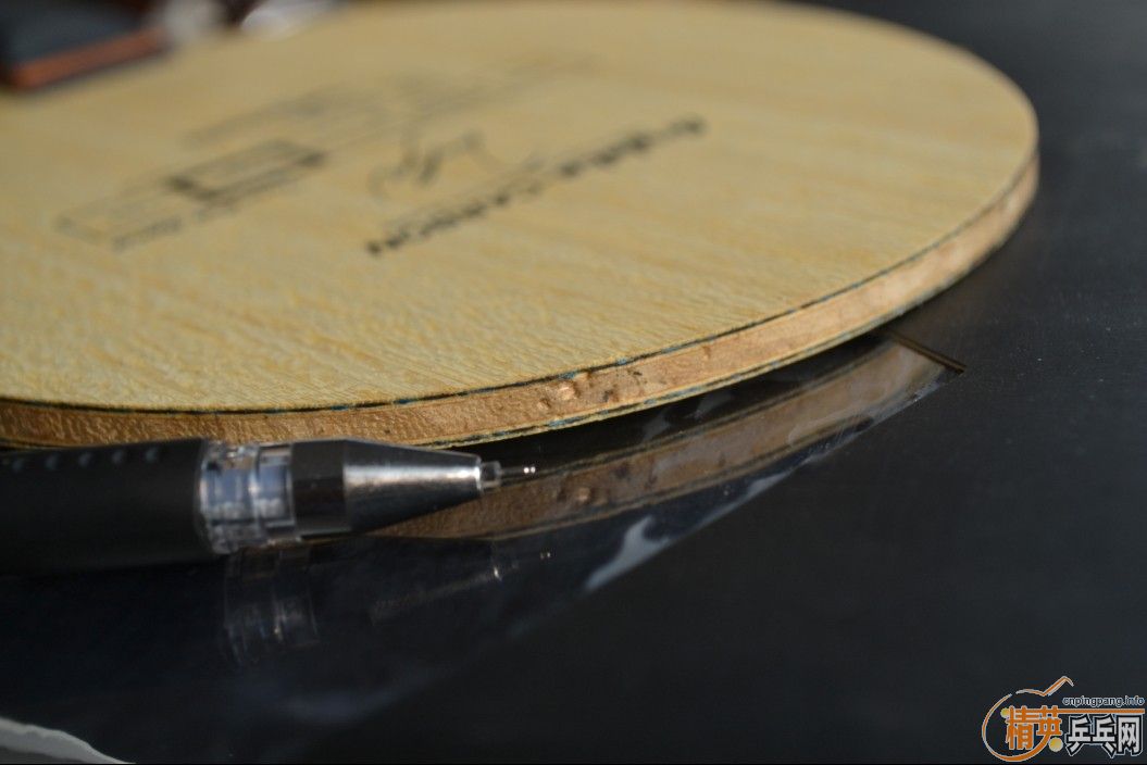 ��ָ��������̳������~