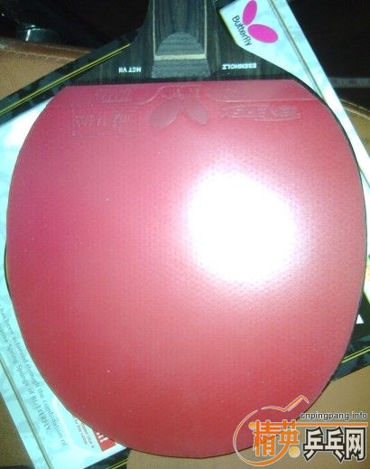̤Ʒл̴764żһF1