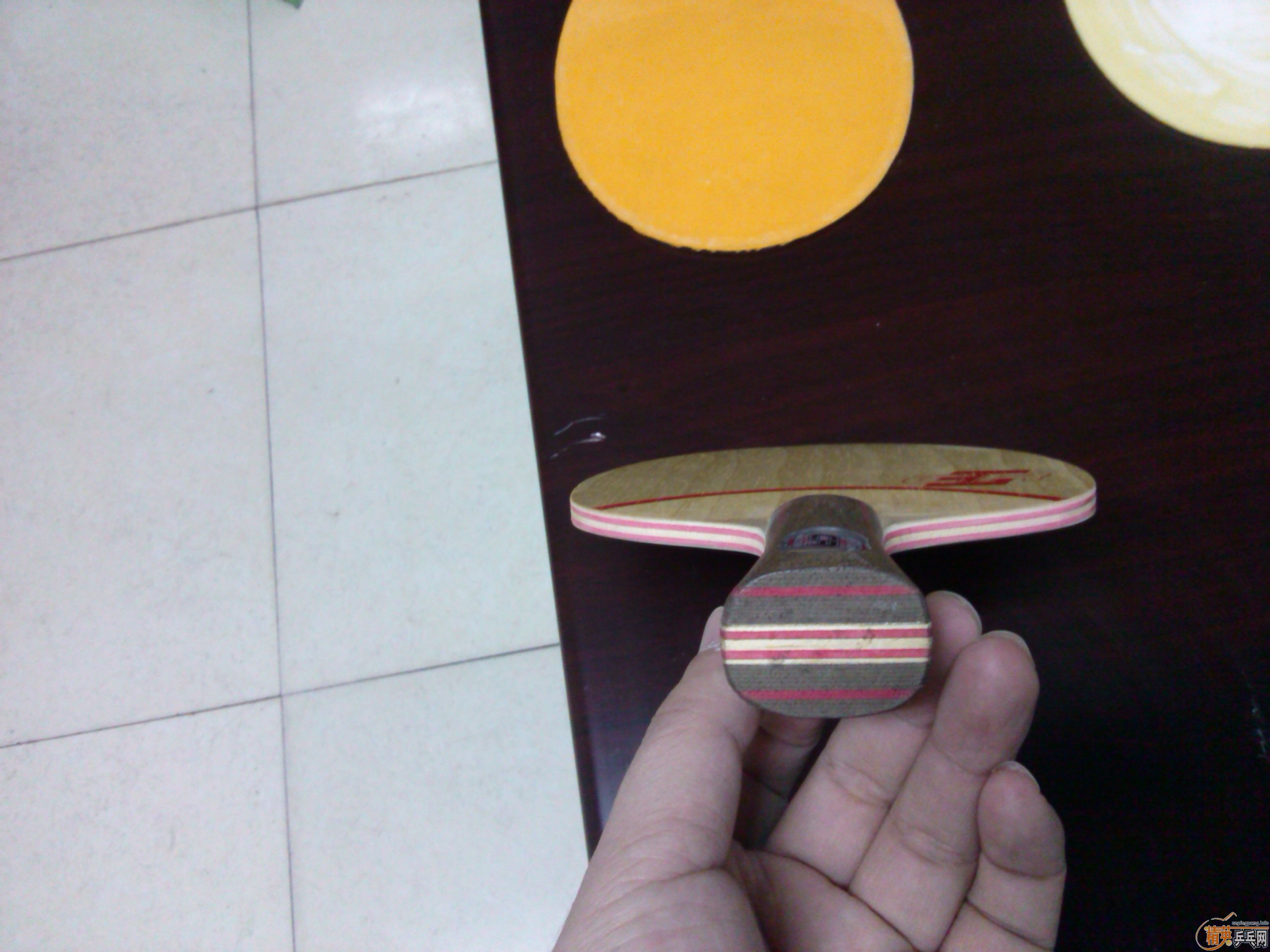 82�� cl cr ʵ�ı� �л��������Ҷ����� tsp spectol ����