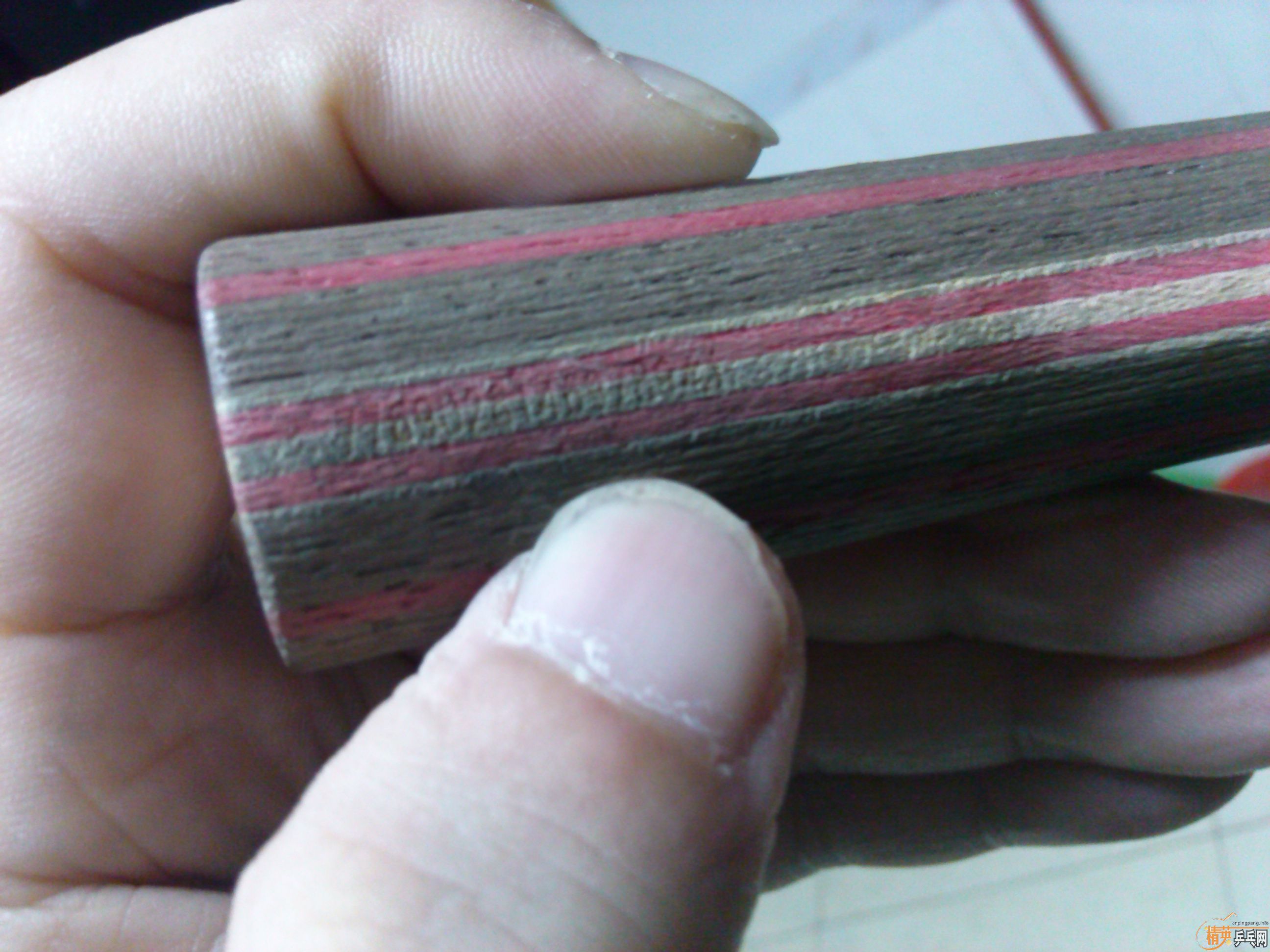 82�� cl cr ʵ�ı� �л��������Ҷ����� tsp spectol ����