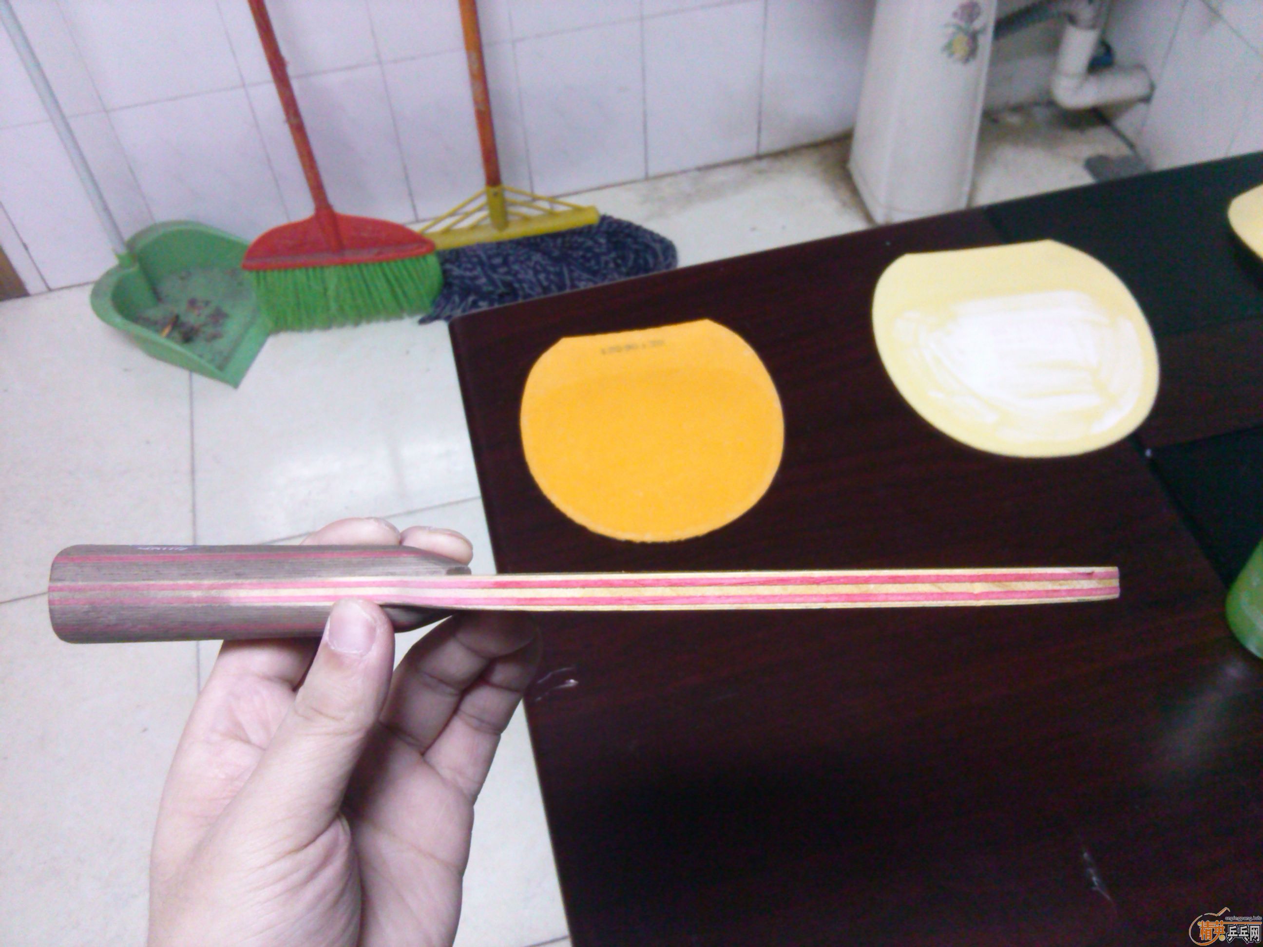 82�� cl cr ʵ�ı� �л��������Ҷ����� tsp spectol ����