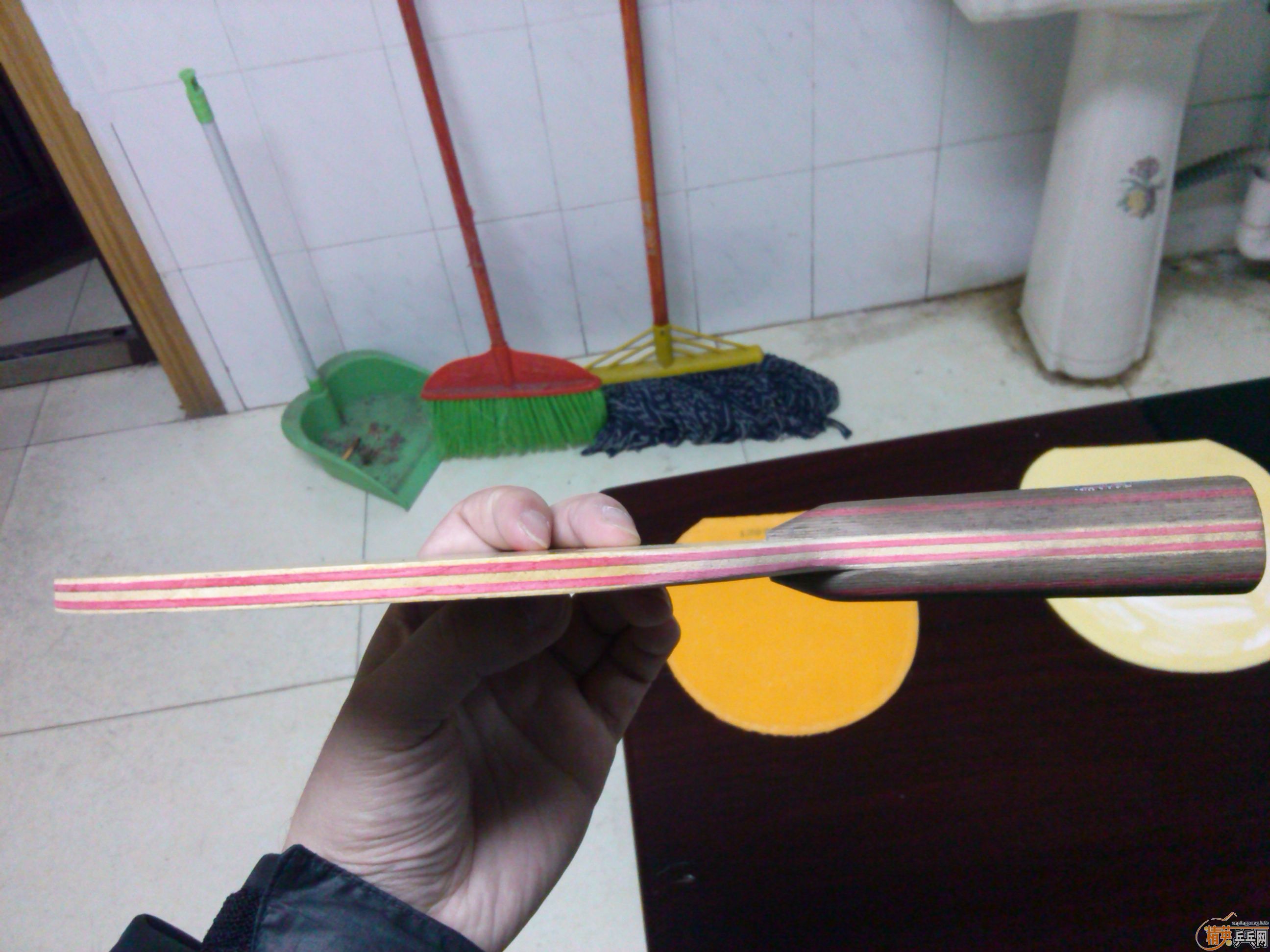 82�� cl cr ʵ�ı� �л��������Ҷ����� tsp spectol ����