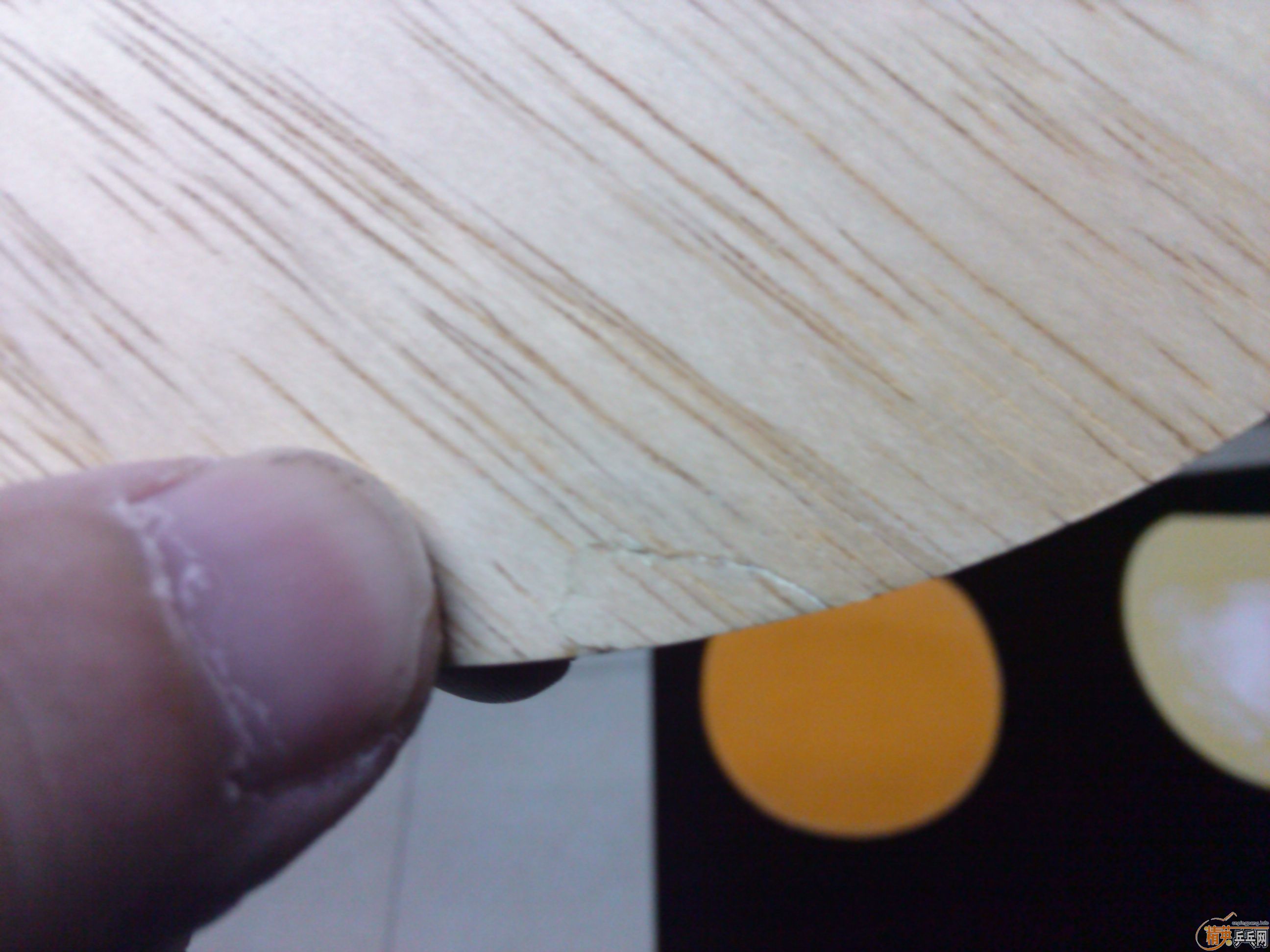 82�� cl cr ʵ�ı� �л��������Ҷ����� tsp spectol ����