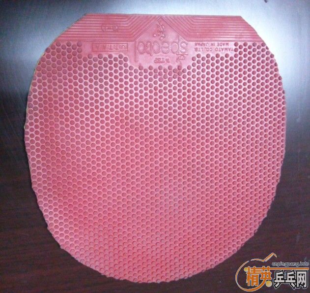 82�� cl cr ʵ�ı� �л��������Ҷ����� tsp spectol ����