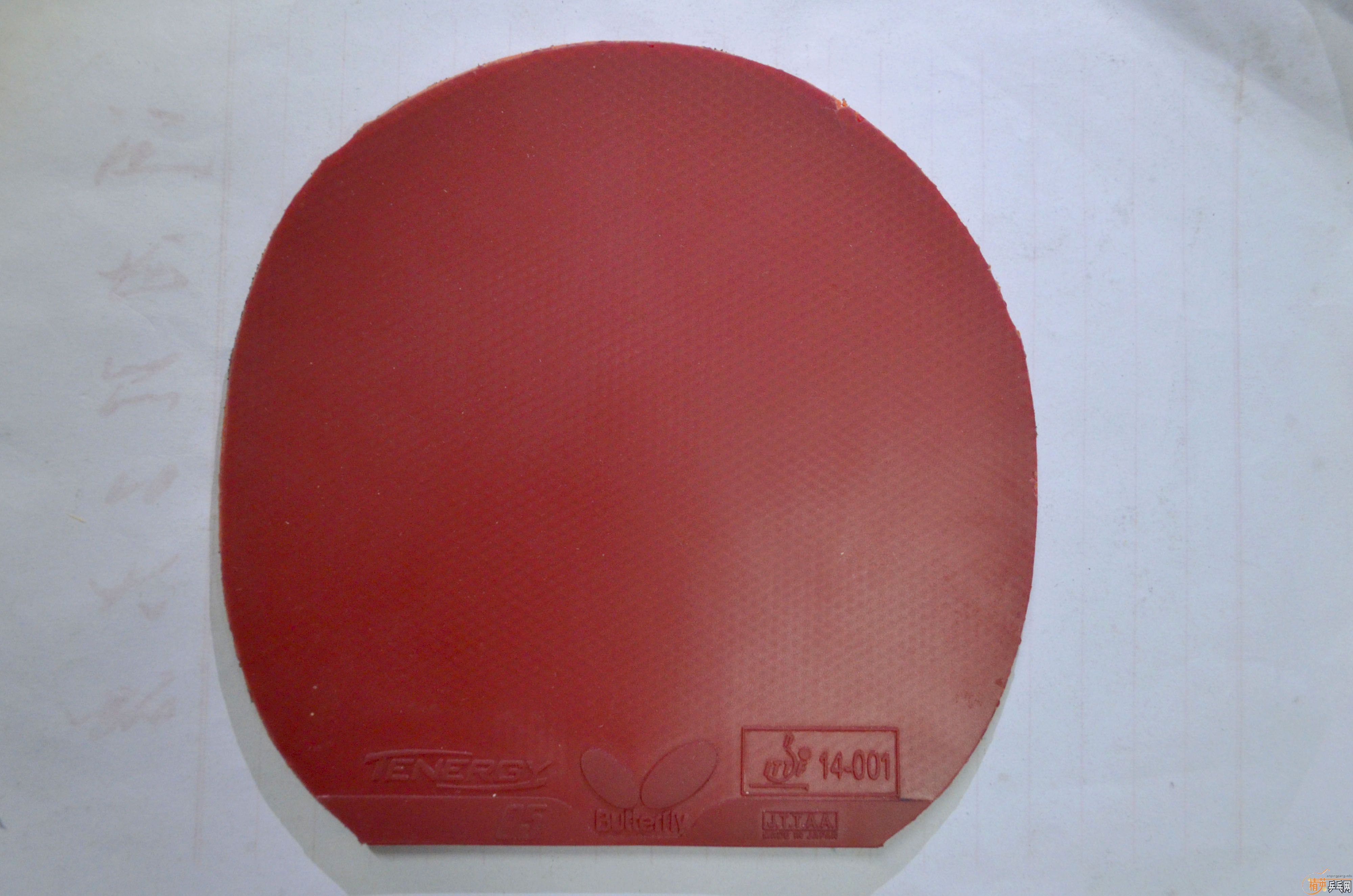 120���� ��һ���ɫ t05������