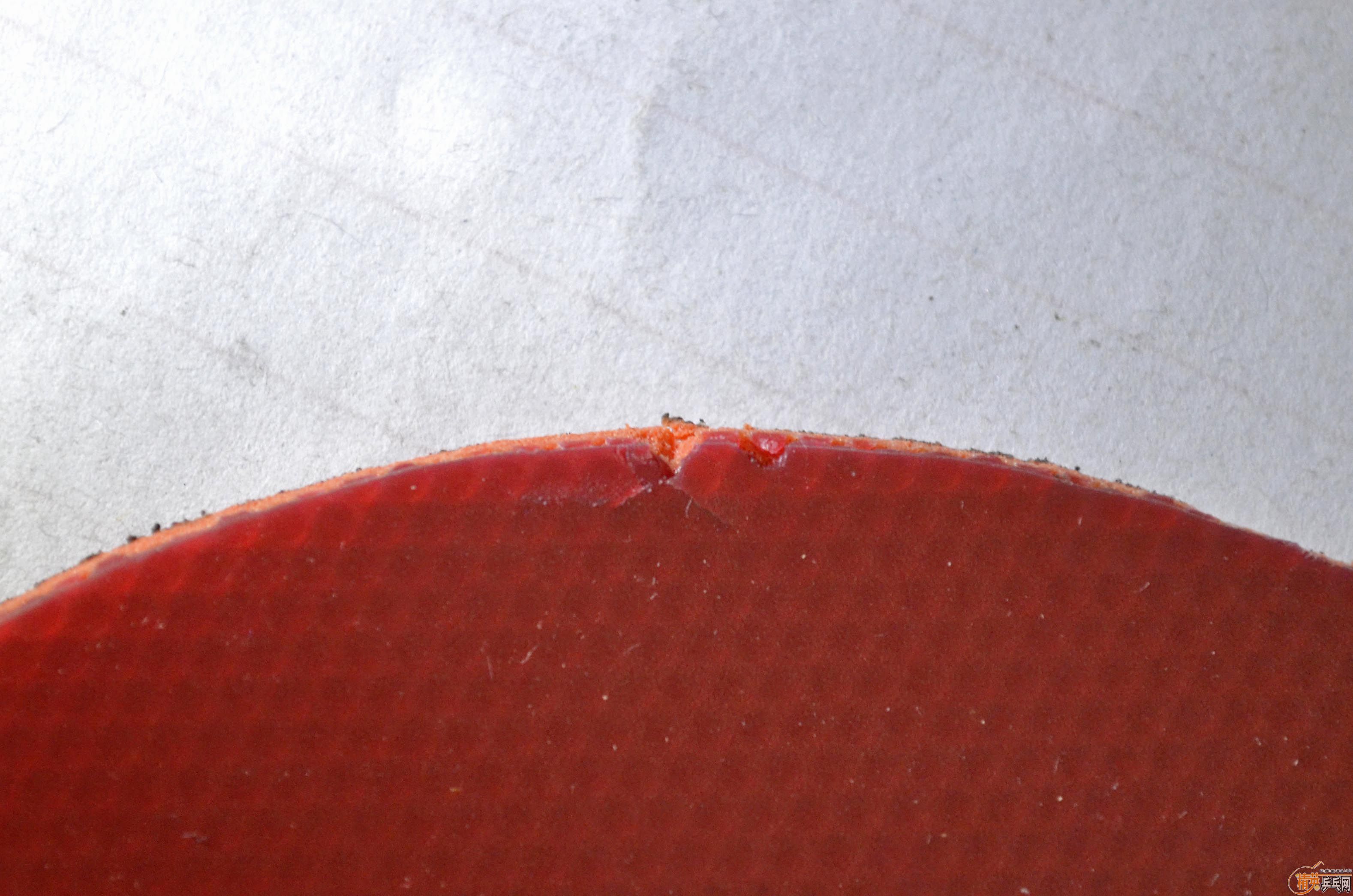 120���� ��һ���ɫ t05������