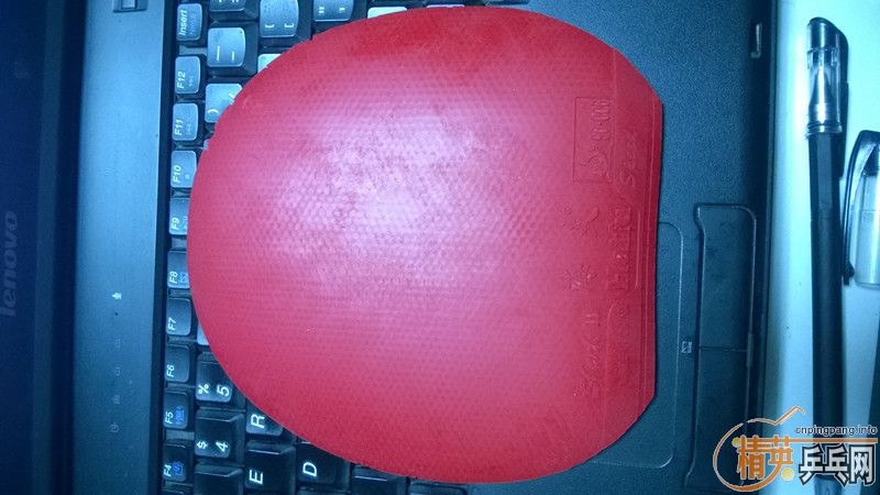 �������׽������񡢲���X1�������������729-563����