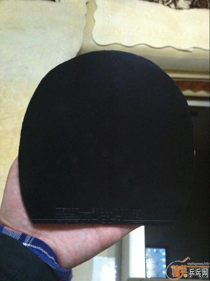 ��95�±��elp��9����V