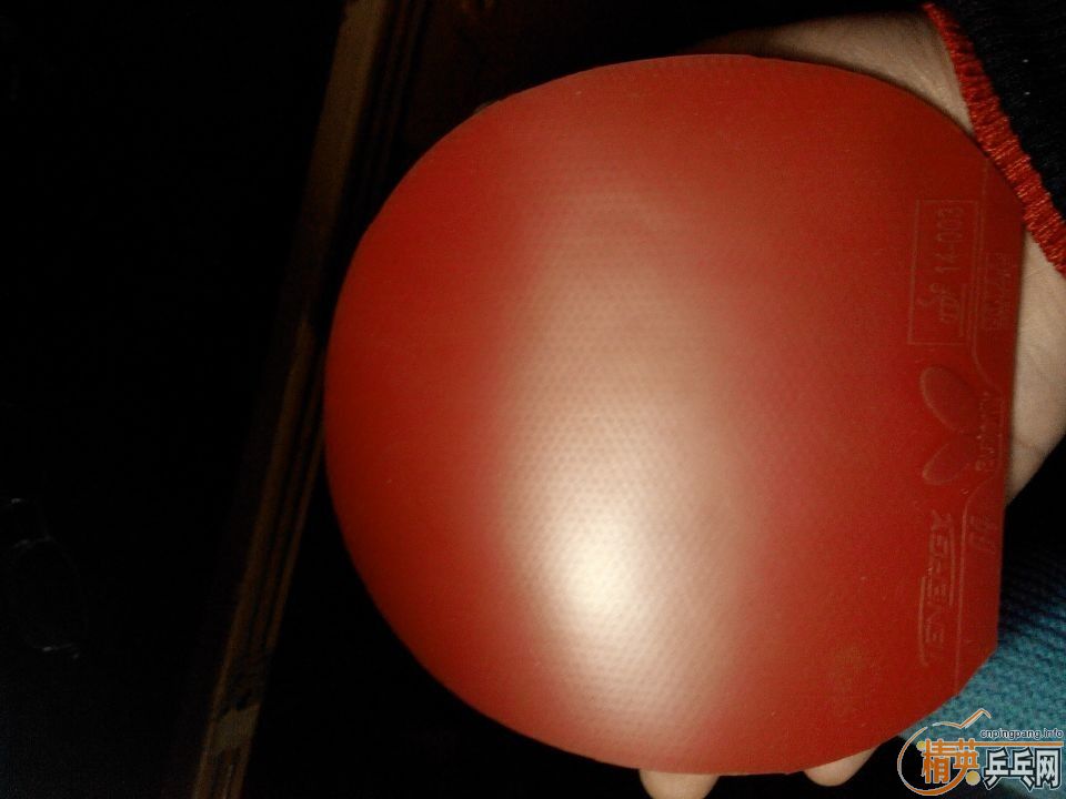 õ5 T64