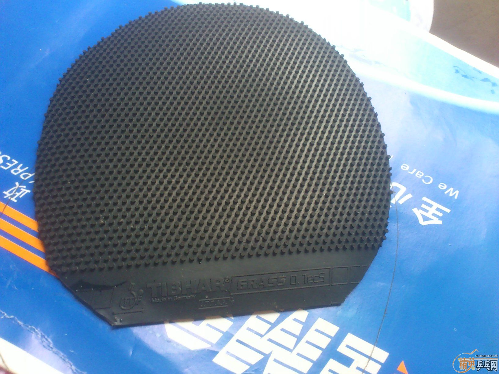 NEOʡ����ʡ���������ǣ����������ף�ͦ�β����ܳ��������ɵ�FA����