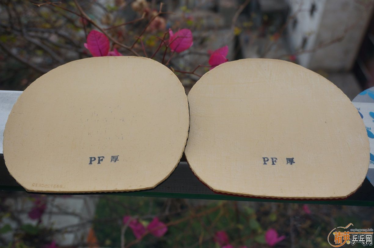 [ԭ��]���ձ�ԭװ���ں���÷�ȡ�ֻ���ձ��������۵ĺ��� LARGE SHAKE SPECIAL  FL....